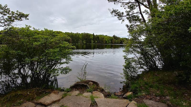 Promised Land State Park Conservation Island - Image 1