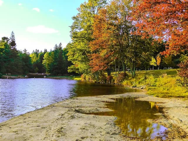 Promised Land State Park Conservation Island - Image 3