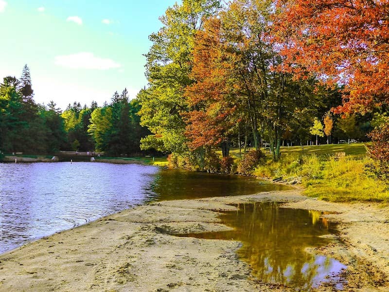 Promised Land State Park Conservation Island - Image 3