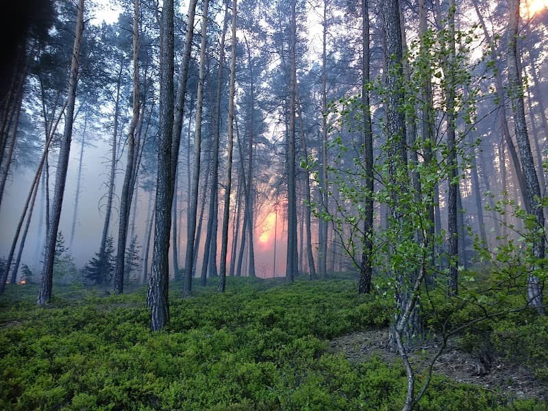 Bolevecký potok - pramen - Image 1