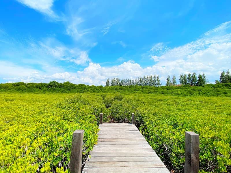 Tung Prong Thong (Golden Meadow) - Image 1