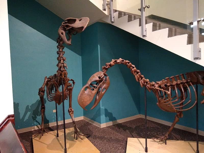 The Bishop Museum of Science and Nature - Image 3