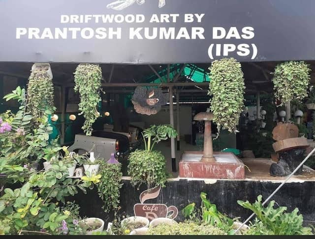 Das Driftwood Museum & Park - Image 1
