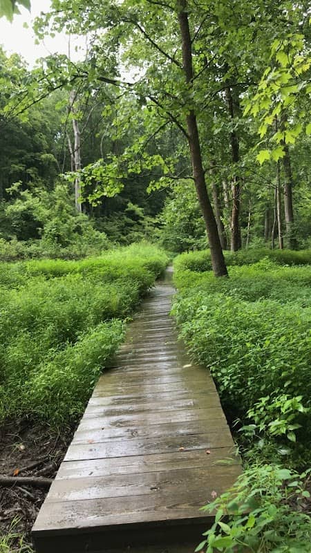 Ten O'clock Line Nature Preserve - Image 2