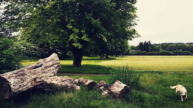 Glebelands Park - Image 2