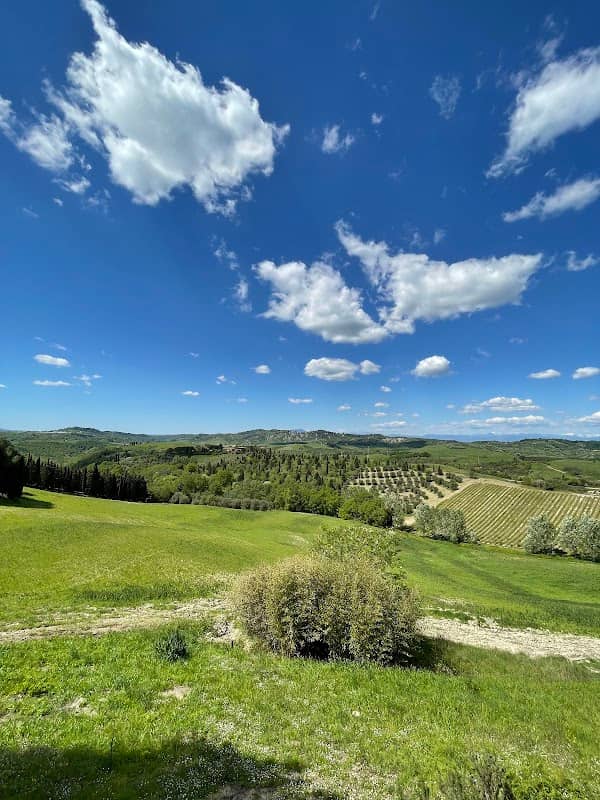 MyTrip - Image 1