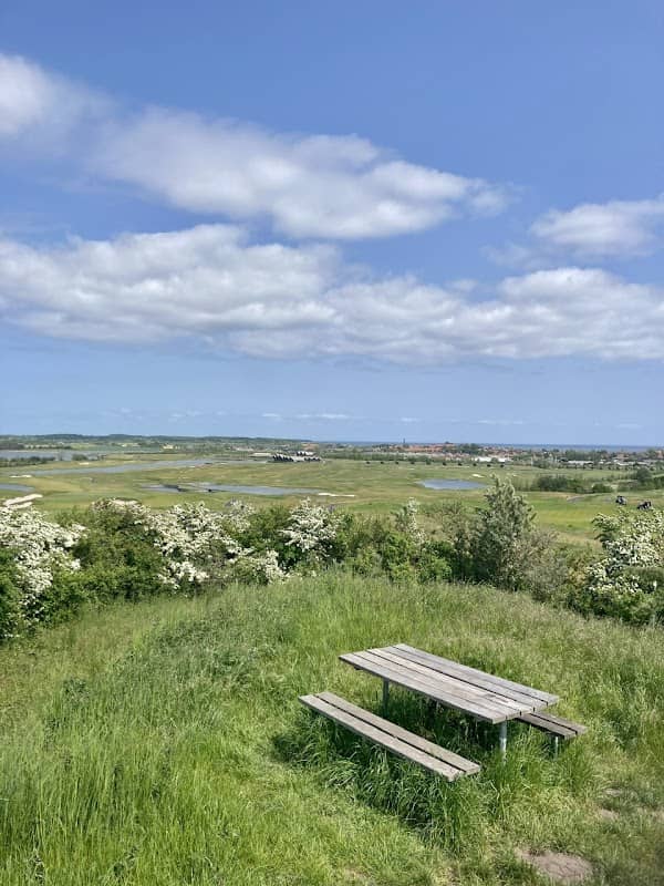 Svanehøj på Drigstrup Sognesti - Image 1