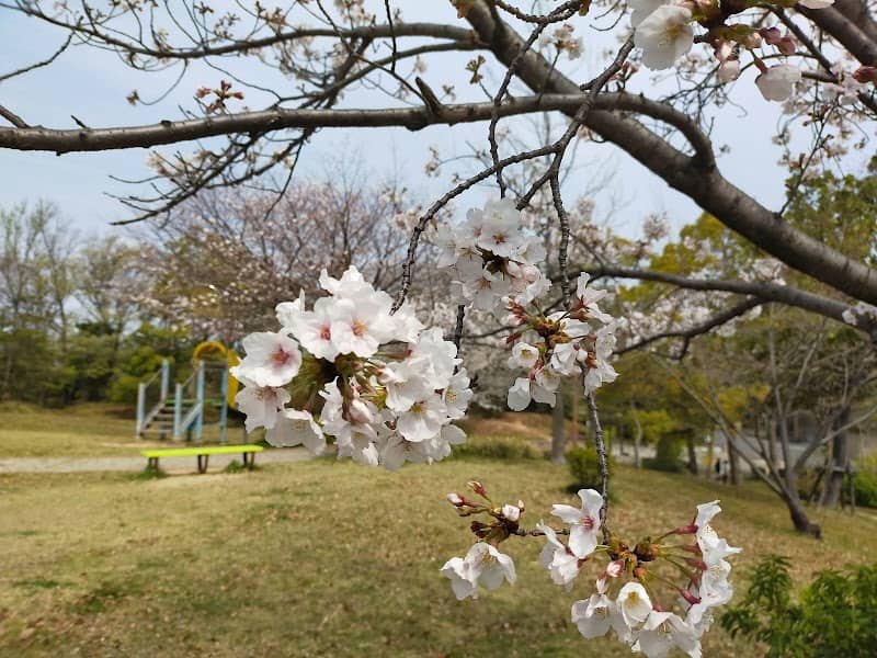 Kamiasahide Park - Image 2