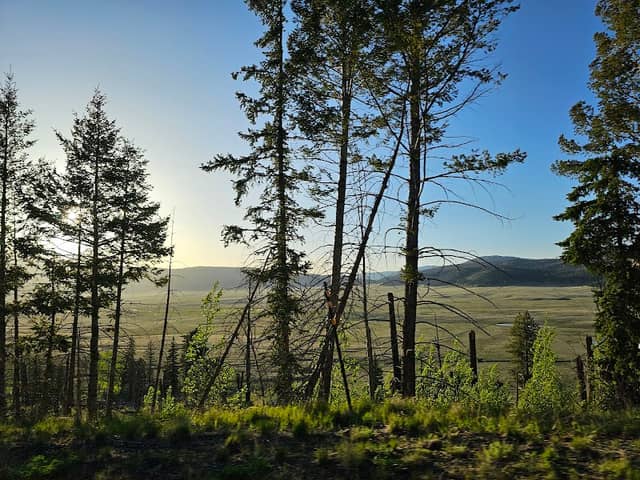 Los Alamos Parks Division - Image 1