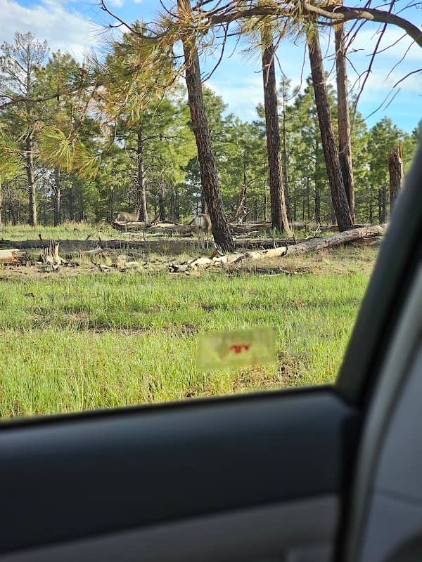 Los Alamos Parks Division - Image 2