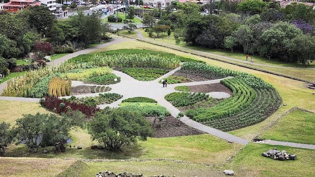 Pumapungo Museum - Image 2