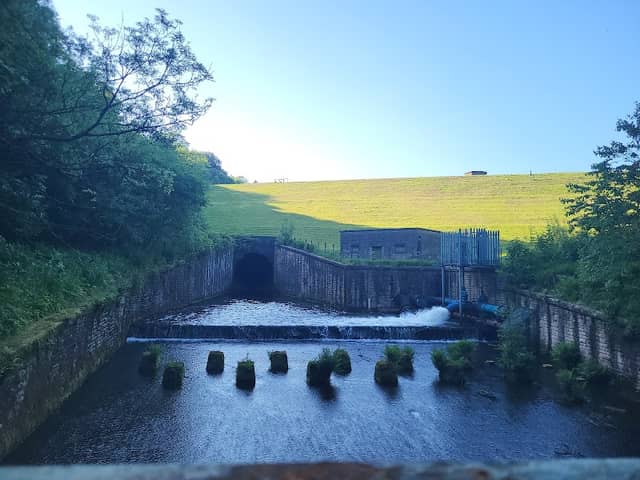 The Kingfisher Trail - Image 2