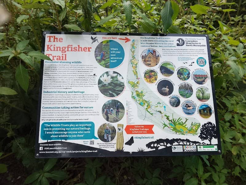 The Kingfisher Trail - Image 1