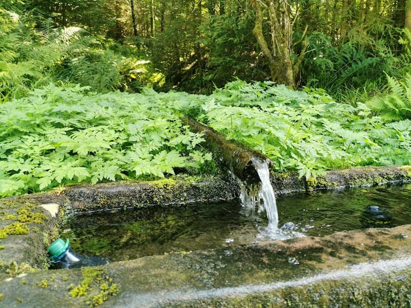 Tannenfelser Brunnen - Image 2