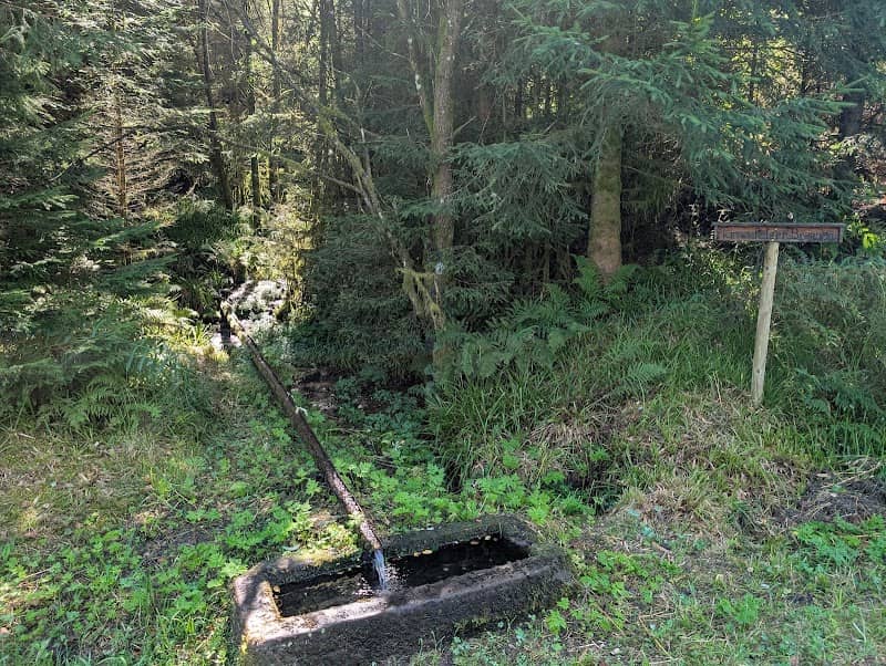 Tannenfelser Brunnen - Image 1