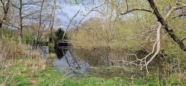 Round Pond - Image 1