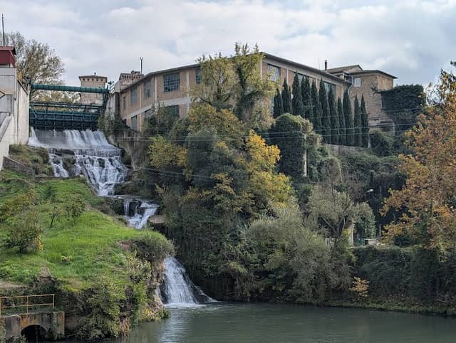 Area Verde Viscogliosi - Image 1