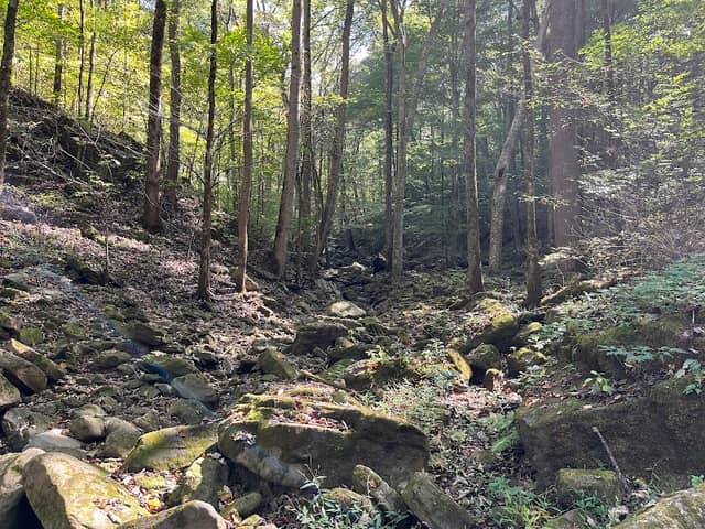 Point Rock Trail - Image 2