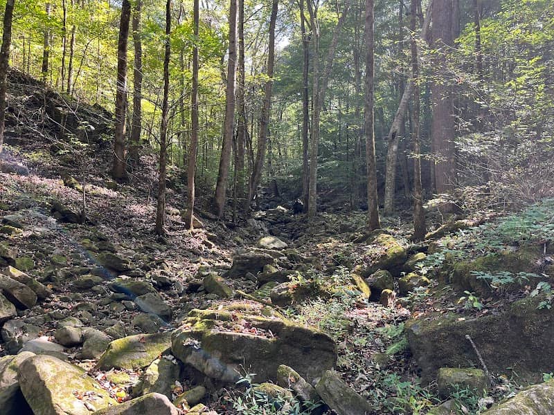 Point Rock Trail - Image 2