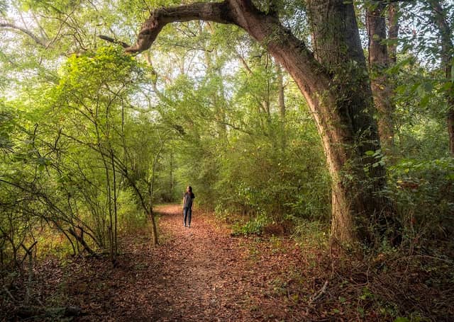 Braselton Mulberry RiverWalk - Image 2