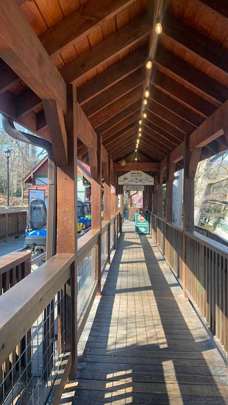 Georgia Mountain Coaster - Image 1