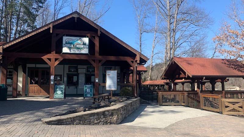 Georgia Mountain Coaster - Image 2