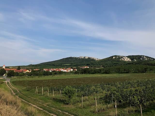 Park Horní Věstonice - Image 1