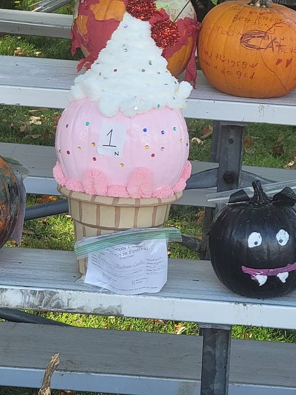Tuscola County Pumpkin Festival - Image 1