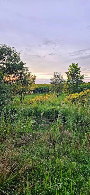Unger Park - Image 1
