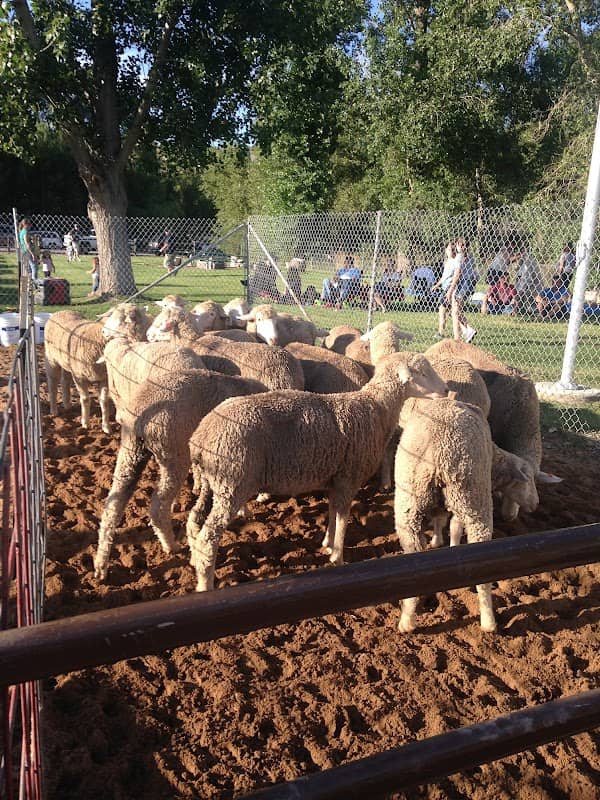 Posse Grounds Park - Image 3