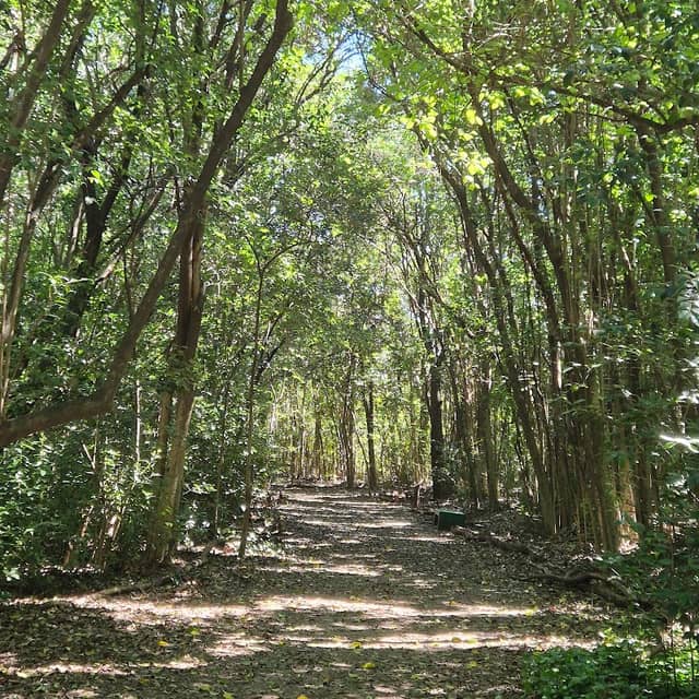 Reserva Natural Urbana de Morón - Image 1
