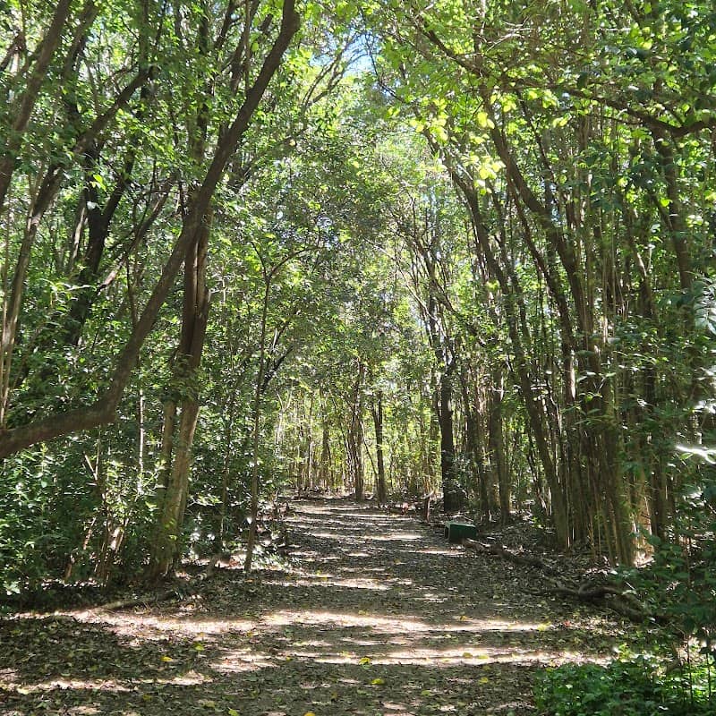 Reserva Natural Urbana de Morón - Image 1