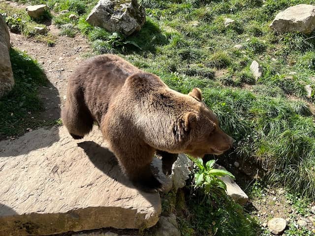 Aran Park - Parc Animalier - Image 1