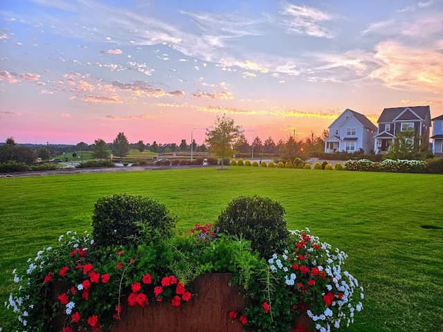 Solstice Park - Image 1
