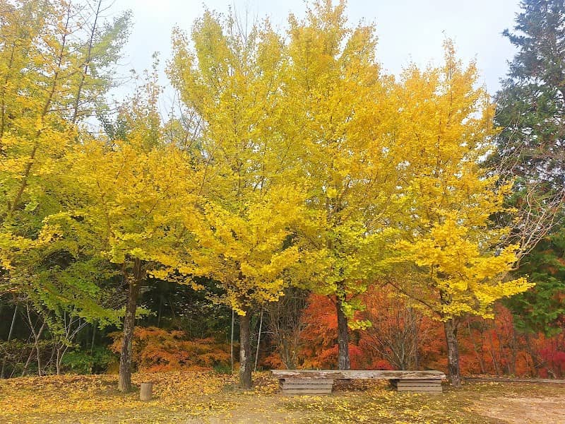 Mumeino Park - Image 1