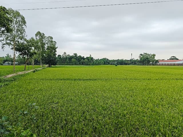 ভরতের কান্দি ব্রিজ পয়েন্ট - Image 1