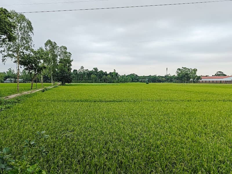 ভরতের কান্দি ব্রিজ পয়েন্ট - Image 1
