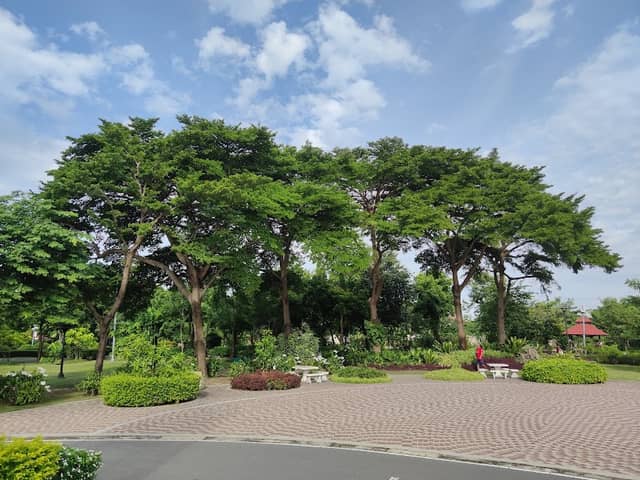 Phumirak Forest Park - Image 2
