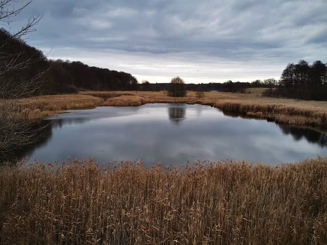Aussichtsturm Biberblick Densowsee - Image 1