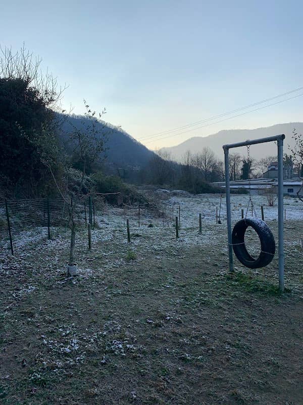 Parco per cani - Image 3
