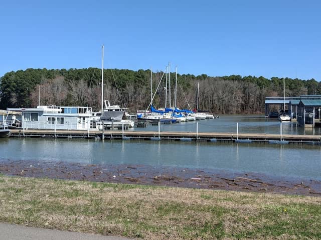 Paris Landing State Park - Image 1