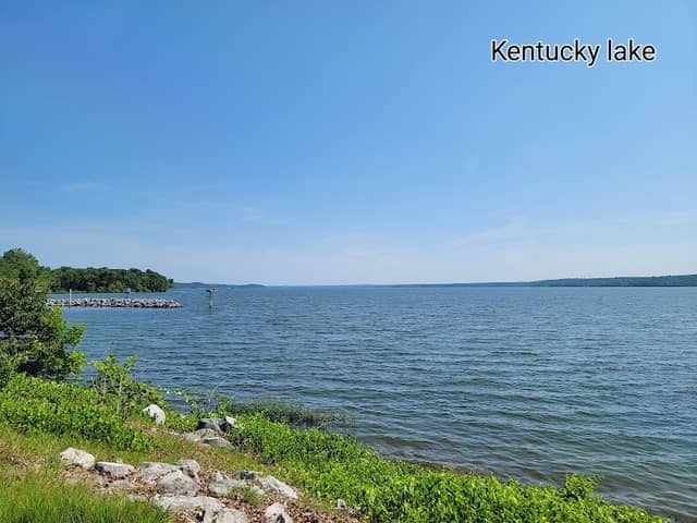 Paris Landing State Park - Image 2