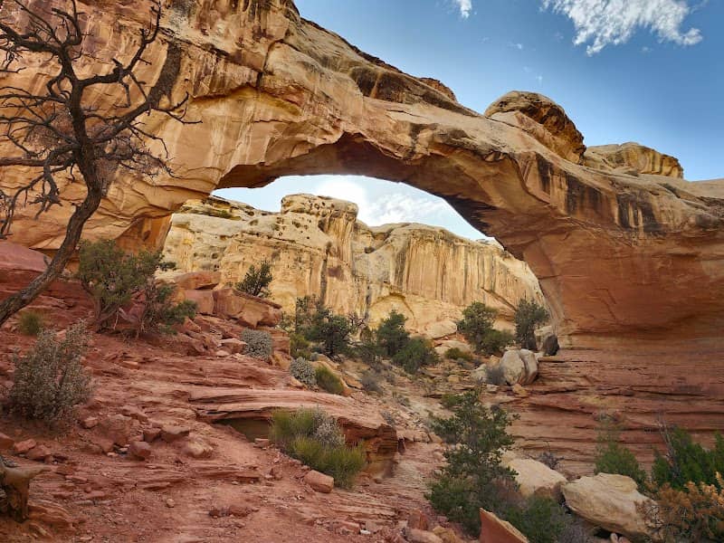 Hickman Natural Bridge - Image 1