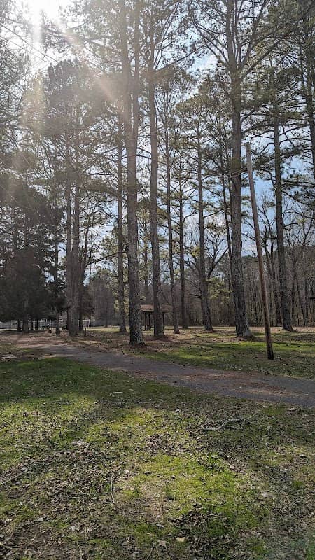 Black Branch Park - Image 2