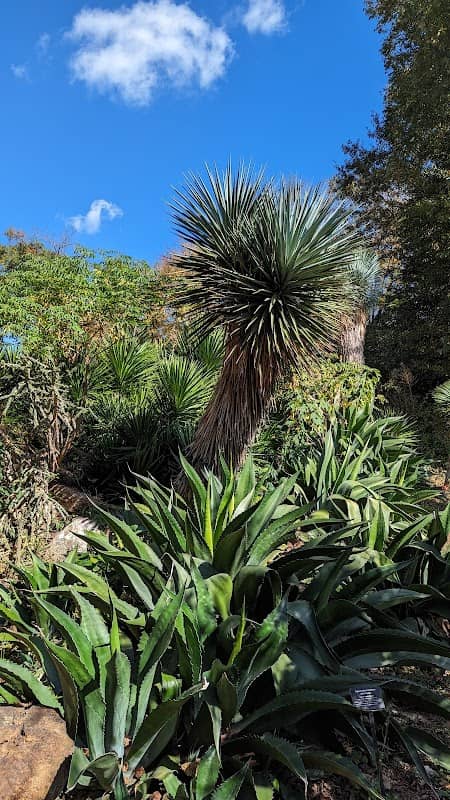 Latin American Ethnobotanical Garden - Image 2