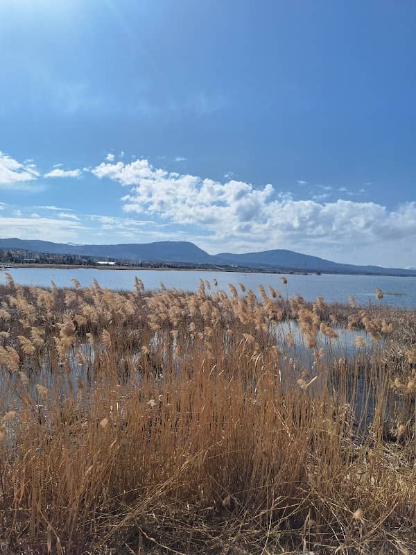 Söğütlü Park - Image 1