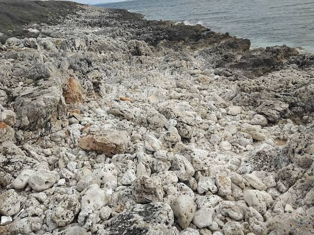 Zone de pierres blanches - Image 1