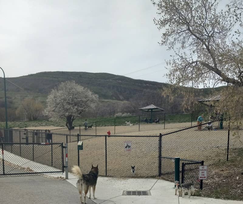 Orem Dog Park - Image 1
