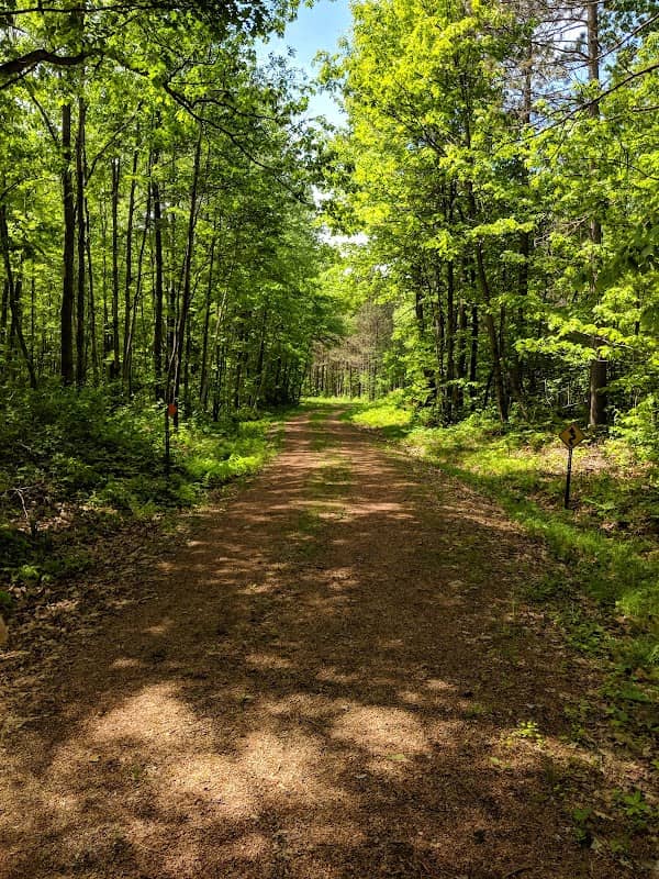 Kronenwetter Forest Unit - Image 1