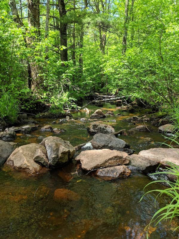 Kronenwetter Forest Unit - Image 2